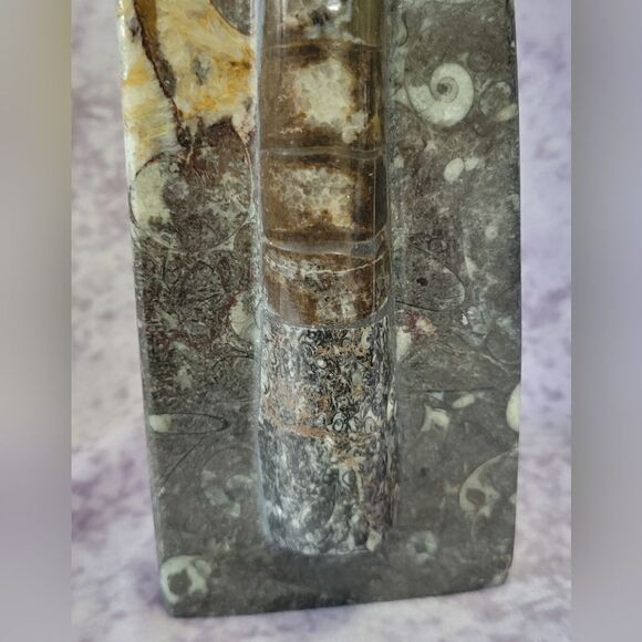 Orthoceras Fossils Self Standing - Picture 13 of 16